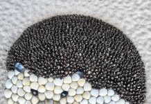 Artist Anna Chan Creates Beautiful Animal Sculptures Using Seashells ( Amazing 14 Pics )