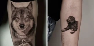 This Artist From South Korea Turns Pet Photos Into Beautifully Realistic Tattoos (10 Pics)